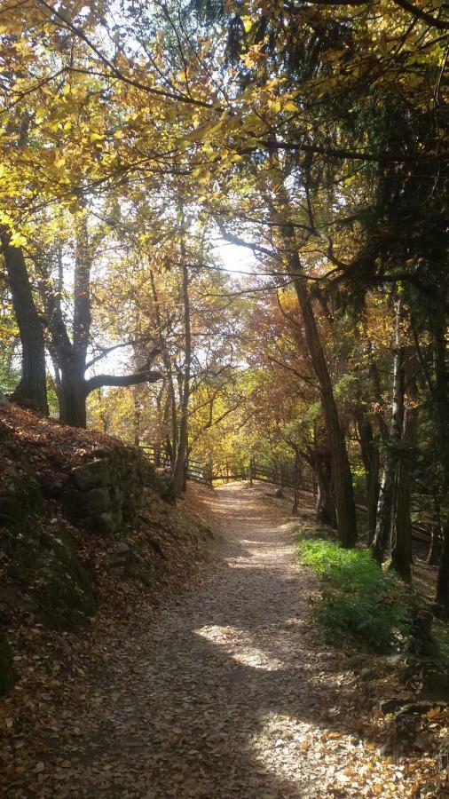 Апартаменти Bergkristall Нова-Леванте Екстер'єр фото